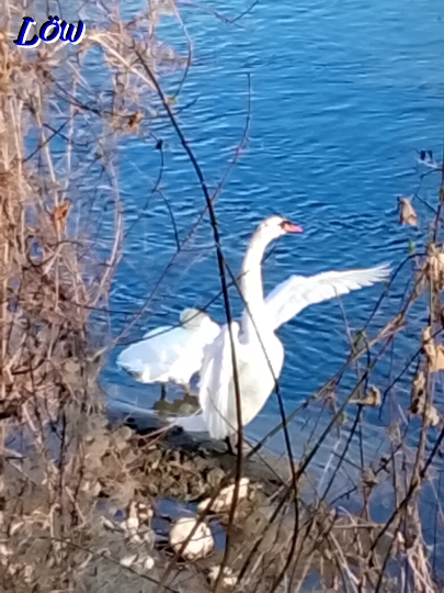 3.4.2026 - Hallo sagen